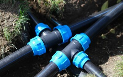 Comment optimiser l’hydratation de votre jardin ?
