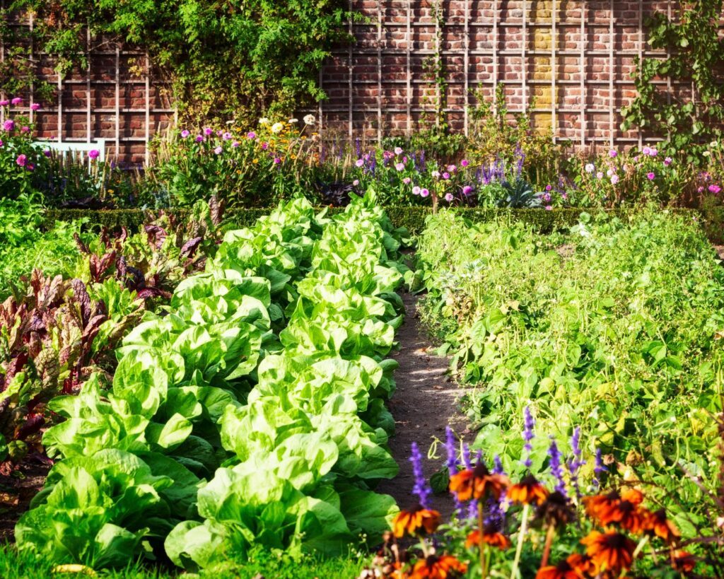 potager plus écoresponsable 