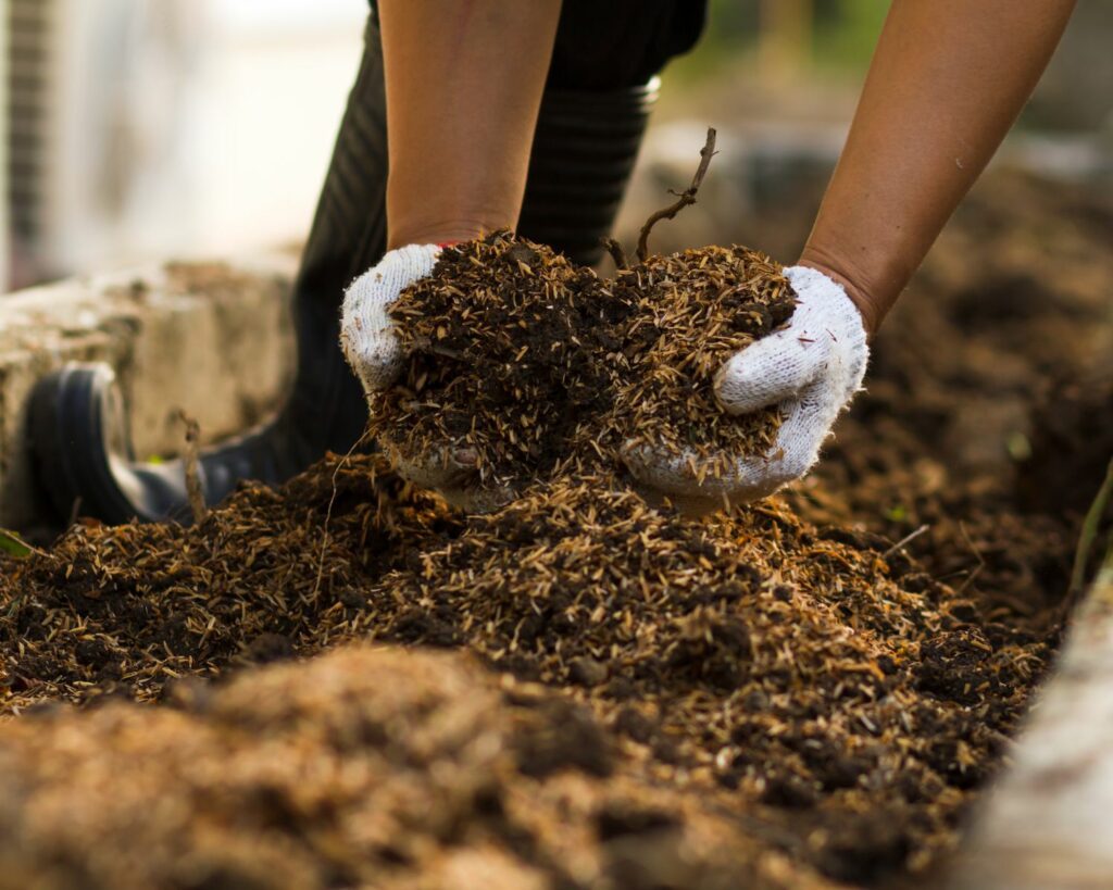 promouvoir la permaculture pour un potager plus écoresponsable