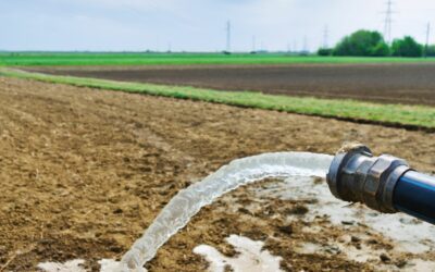 Solutions pour économiser de l’eau dans le monde agricole