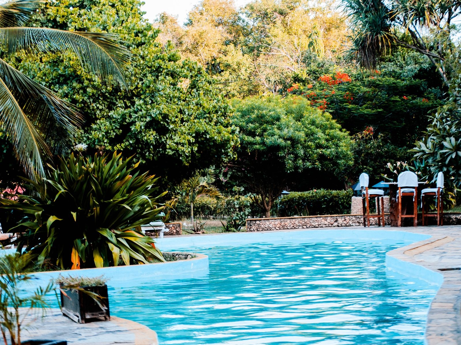 les meilleurs conseils pour piscines plus respectueuses de l'eau