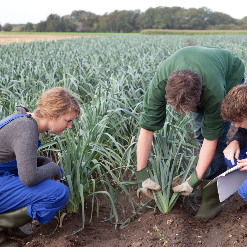 économie d'eau agriculture 