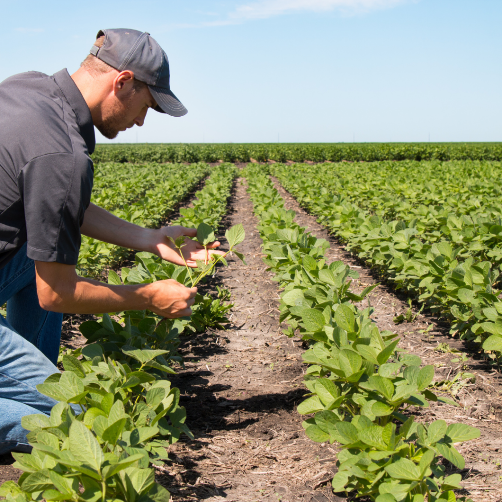 solutions pour le monde agricole